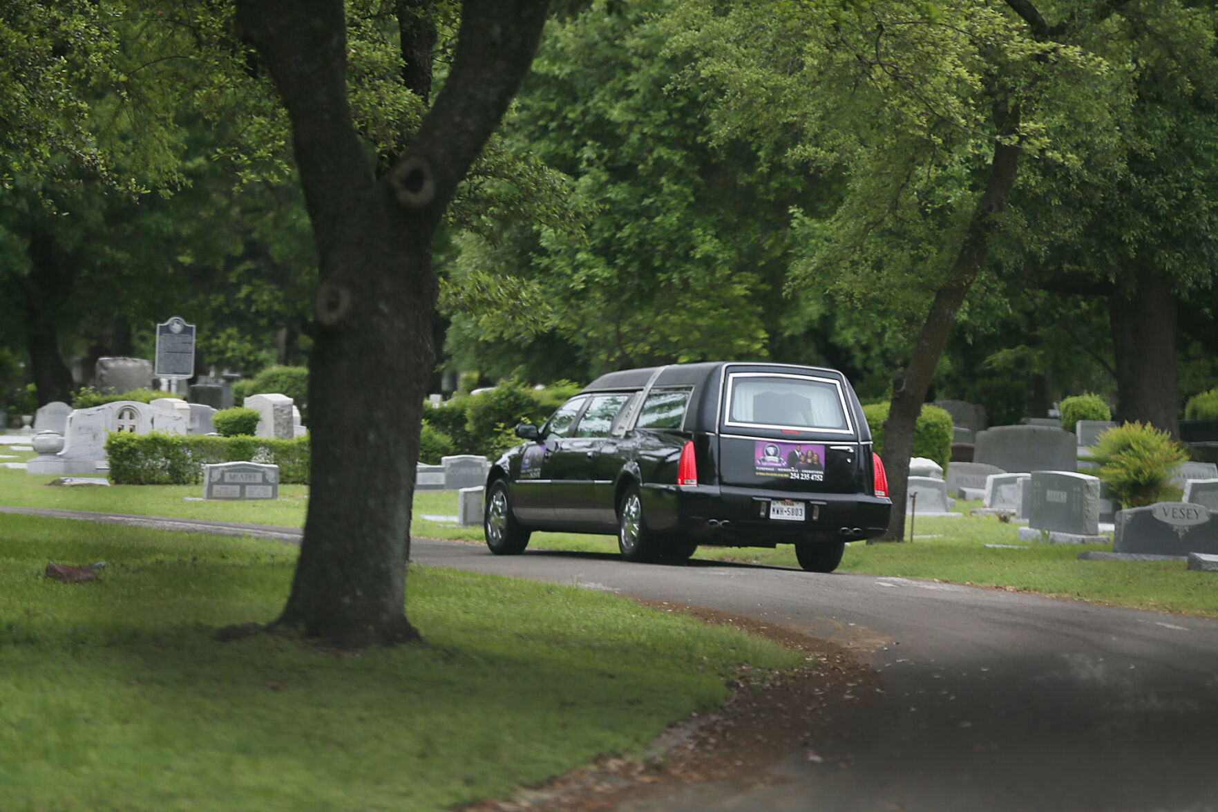 Covid Deaths